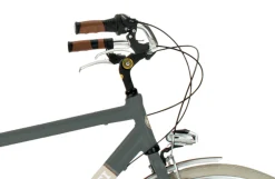 Bicicleta De Ciudad Airbici 605am Elegance