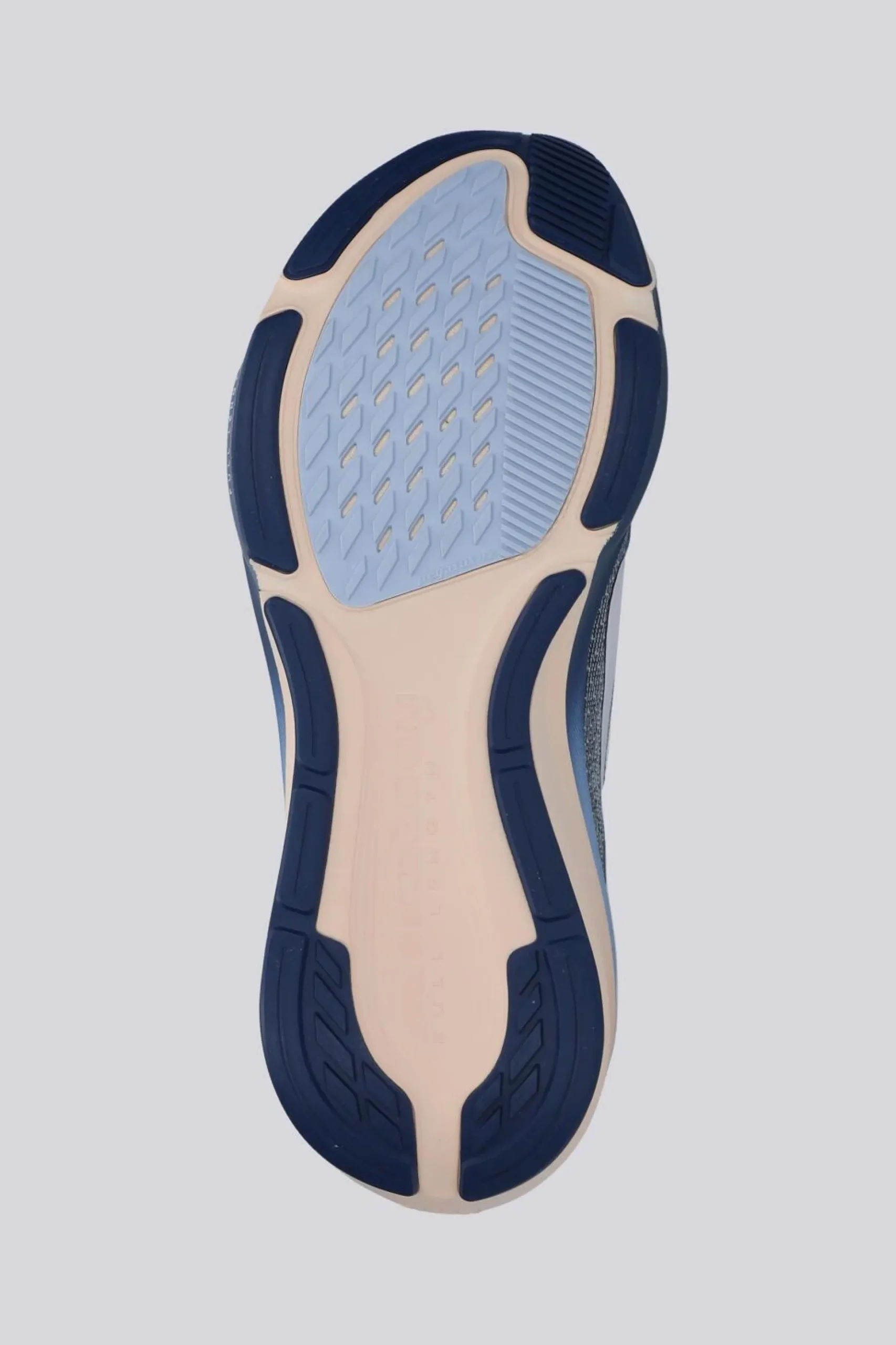 Nike Pegasus 42