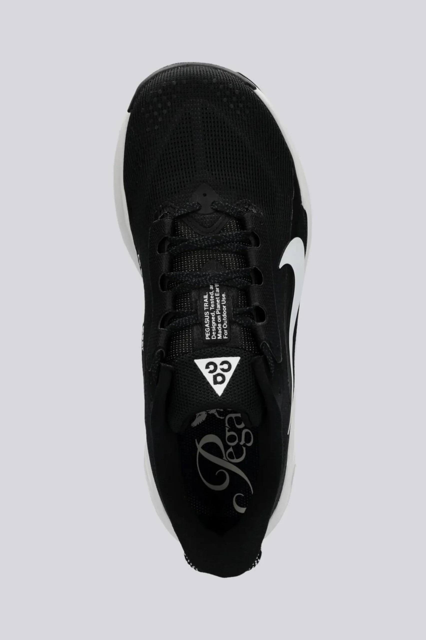 Nike Pegasus