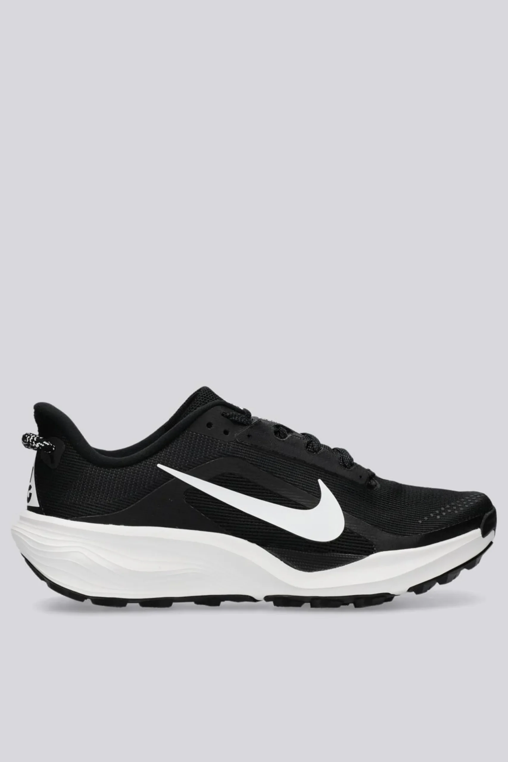 Nike Pegasus