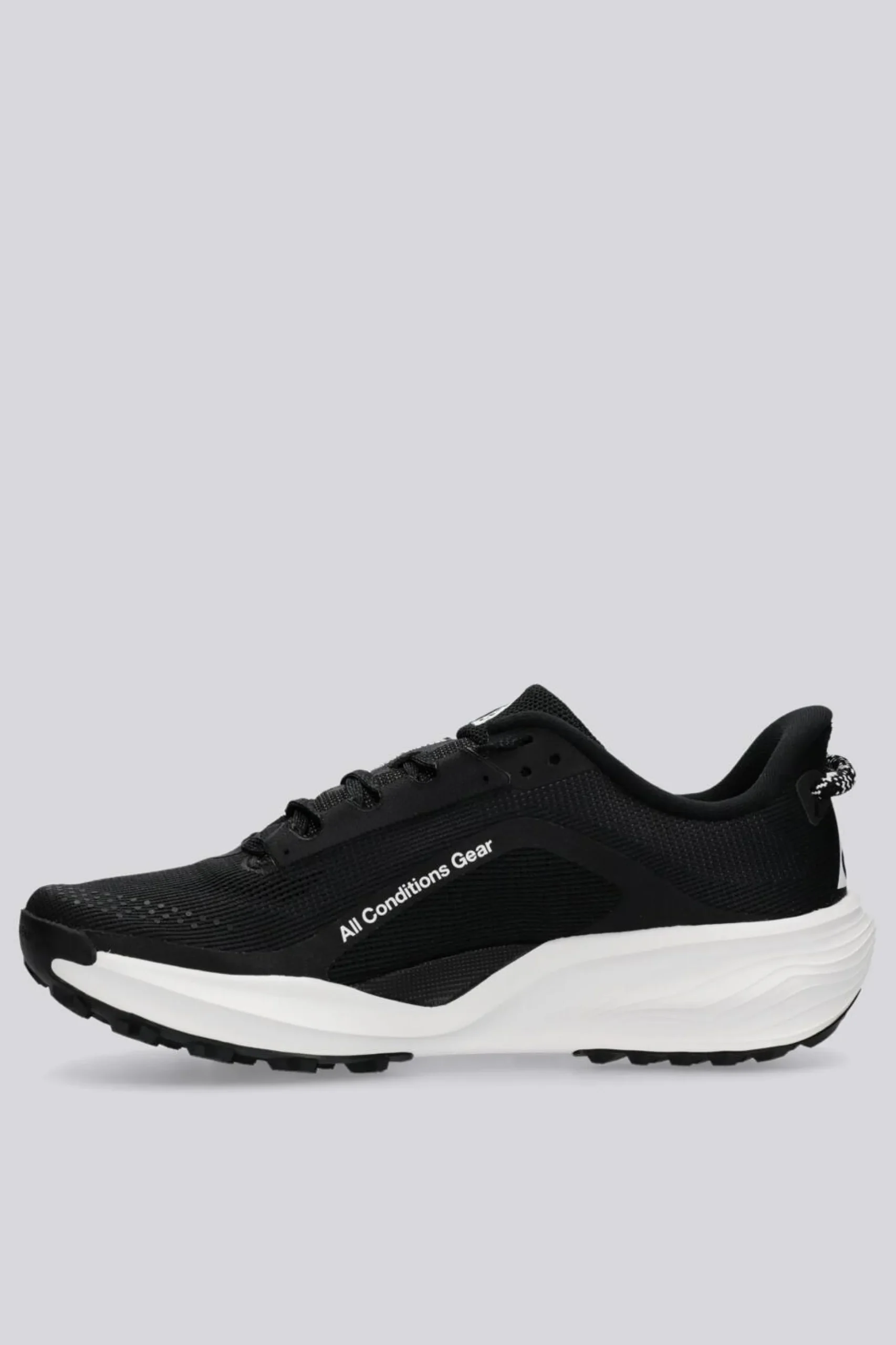 Nike Pegasus
